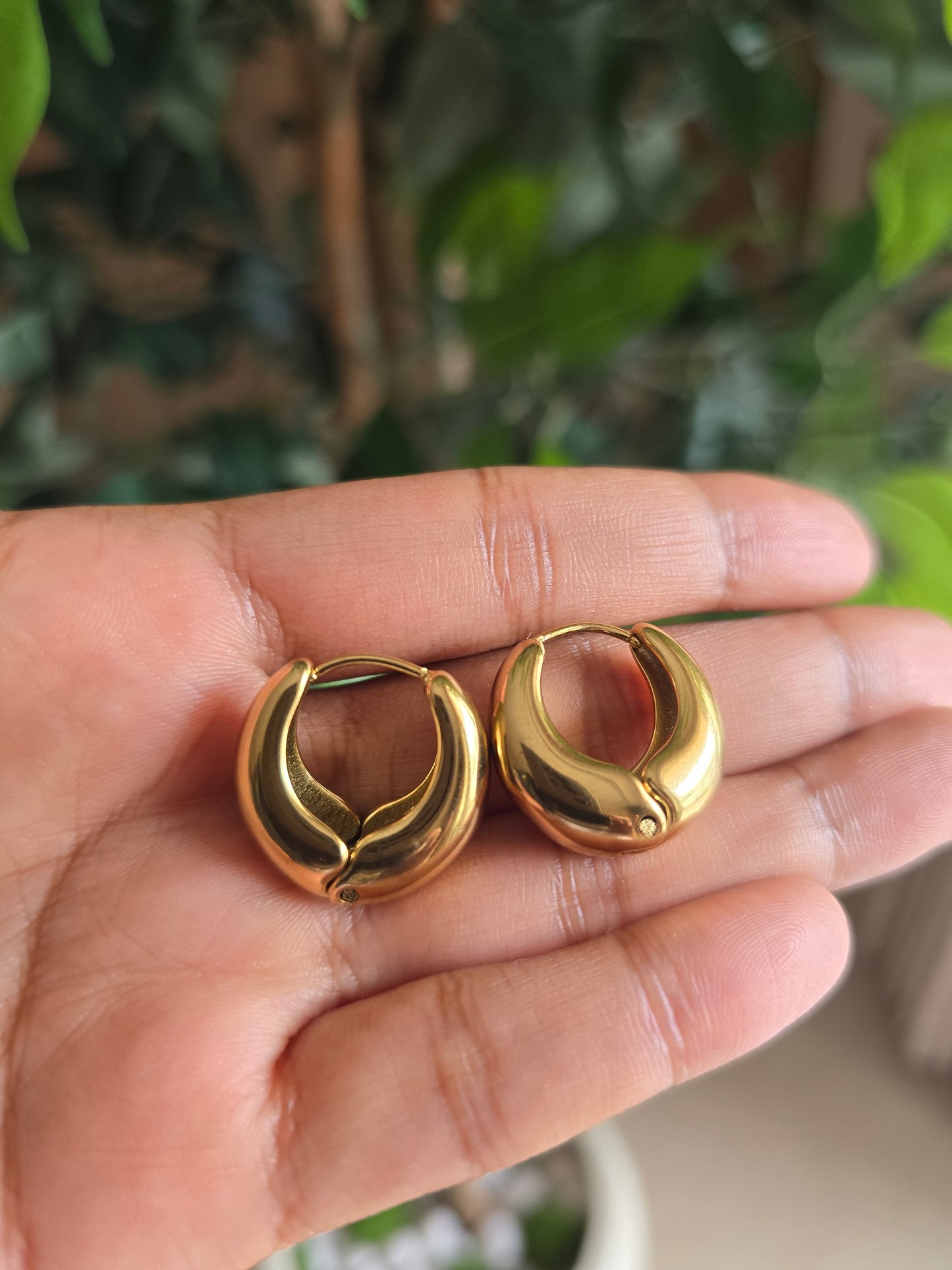 Eterna Vera Hoops
