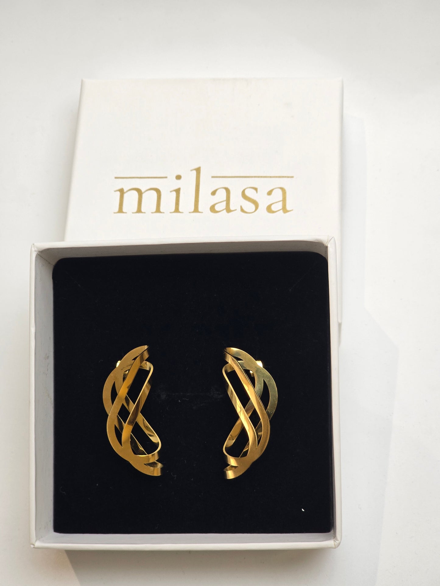 Sculptura Forma Earrings