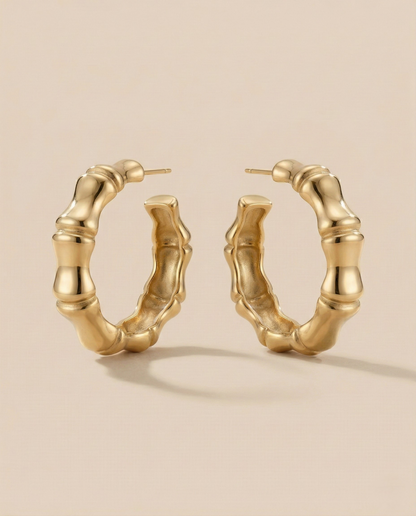 Bold Hoops