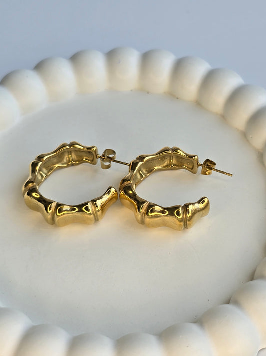 Bold Hoops