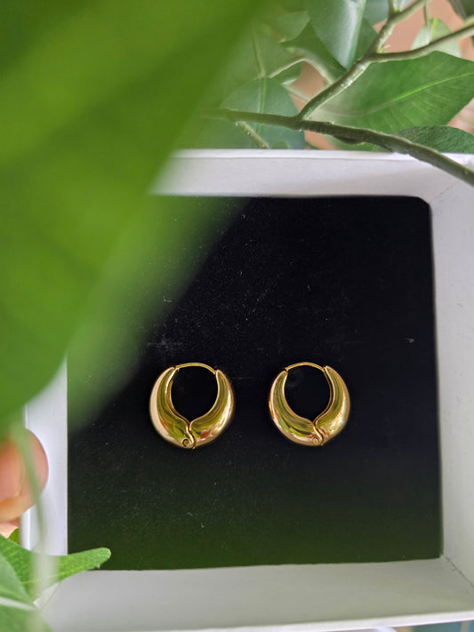 Eterna Vera Hoops