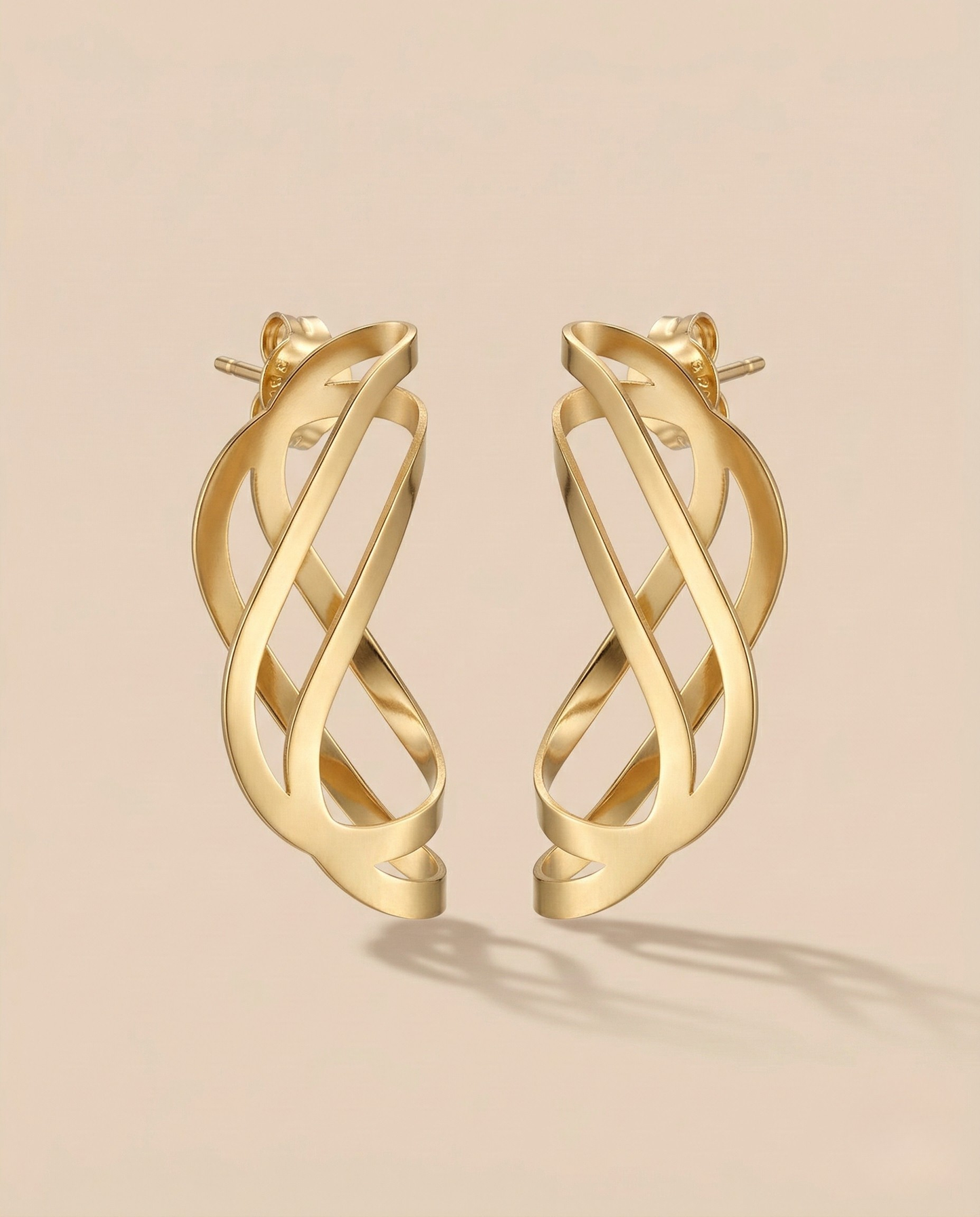 Sculptura Forma Earrings